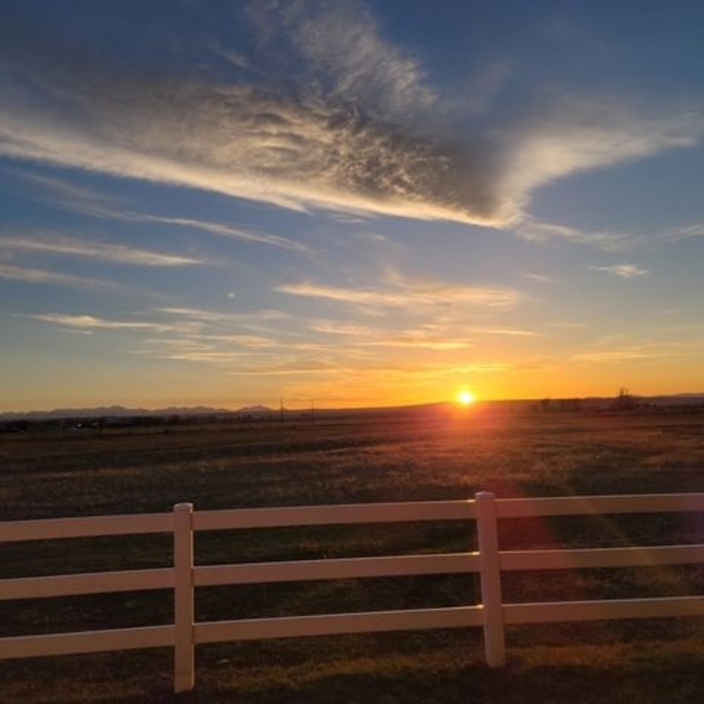 Meet your Posher, Miranda